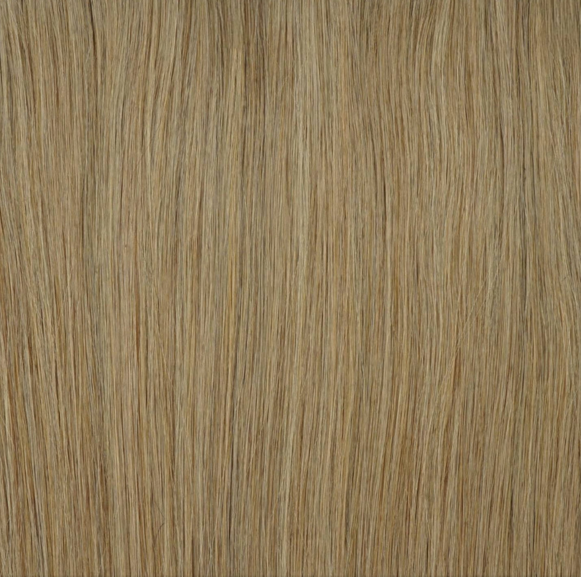 ASH MEDIUM BLONDE
