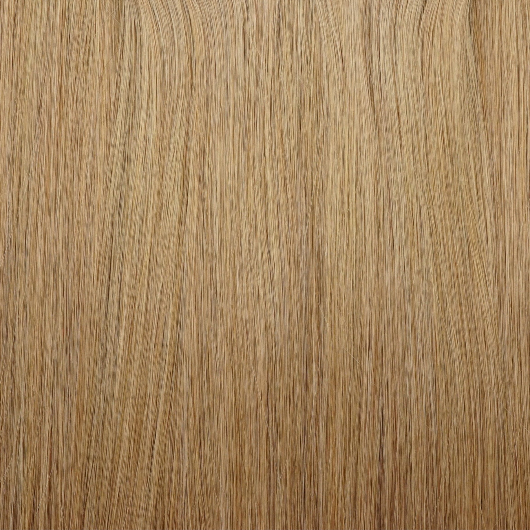 SUNKISSED BLONDE