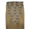 ASH MEDIUM BLONDE