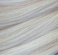 Platinum blonde i tips